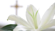 Condolencias