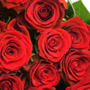 Ramo de rosas rojas